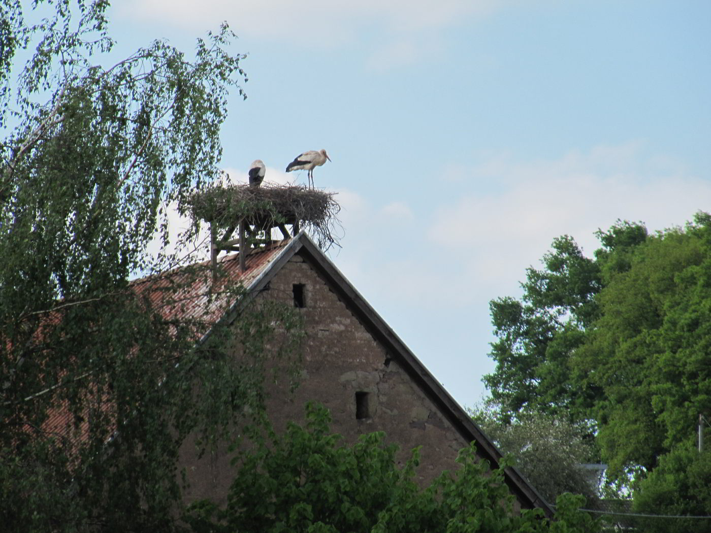 st�rche